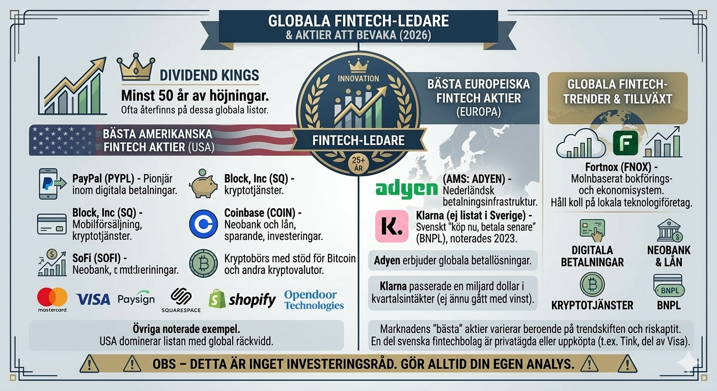 Infografik över globala fintech-ledare 2026 med fokus på amerikanska bolag som PayPal och Coinbase, europeiska Adyen och svenska Fortnox.