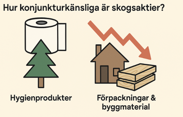 Konjunkturkänslighet skogsaktier, efterfrågan hygienprodukter trävaror, skogsindustrins cykliska natur, investera i skogsbolag konjunktur, råvaruefterfrågan skog.