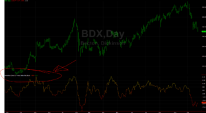img 5bcf098235ae3 Samuelssons Rapport