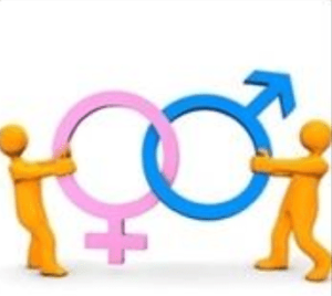 img 5d934e2f0d1e8 Samuelssons Rapport