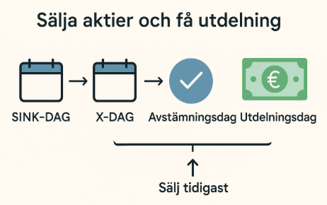 Tidslinje som visar SINK-dag, X-dag, Avstämningsdag och Utdelningsdag, med markering att man kan sälja tidigast på X-dagen och ändå få utdelning.